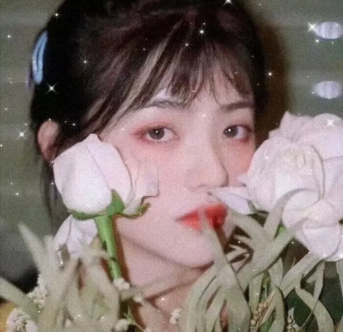 奥利弗的故事