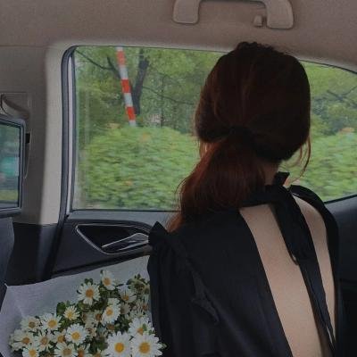 路柳墙花